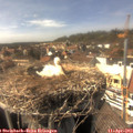 15_45-nest.jpg