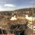 15_50-nest.jpg