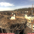15_55-nest.jpg