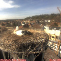 16_05-nest.jpg