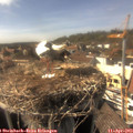 16_15-nest.jpg