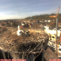 16_25-nest.jpg
