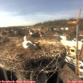 16_35-nest.jpg