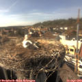 16_40-nest.jpg