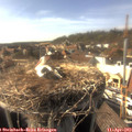 16_45-nest.jpg