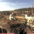 16_55-nest.jpg
