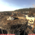 17_20-nest.jpg