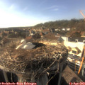 17_30-nest.jpg