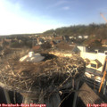 17_35-nest.jpg