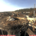 17_45-nest.jpg
