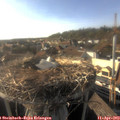 18_00-nest.jpg