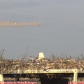 18_05-mast.jpg