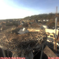 18_05-nest.jpg
