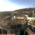 18_10-nest.jpg