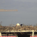 18_15-mast.jpg