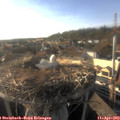 18_15-nest.jpg