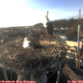 18_35-nest.jpg