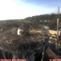 18_40-nest.jpg
