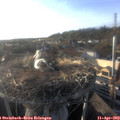 18_45-nest.jpg