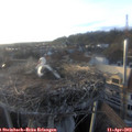 19_20-nest.jpg