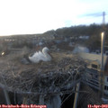 19_40-nest.jpg