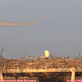 19_45-mast.jpg