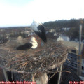 06_40-nest.jpg