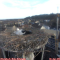 07_00-nest.jpg