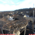 07_05-nest.jpg