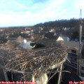 07_10-nest.jpg