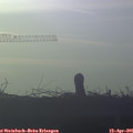 07_20-mast.jpg