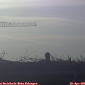 07_25-mast.jpg
