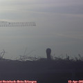 07_30-mast.jpg