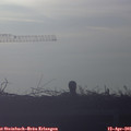 07_35-mast.jpg