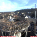07_35-nest.jpg