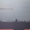07_50-mast.jpg