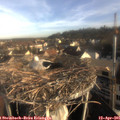 07_55-nest.jpg