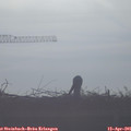 08_00-mast.jpg