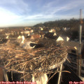 08_00-nest.jpg