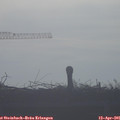 08_05-mast.jpg