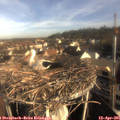 08_05-nest.jpg
