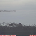 08_10-mast.jpg
