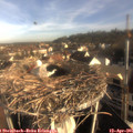 08_10-nest.jpg