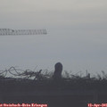 08_15-mast.jpg
