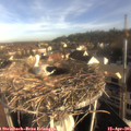 08_15-nest.jpg