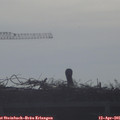 08_20-mast.jpg