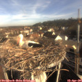 08_20-nest.jpg