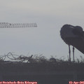 08_25-mast.jpg