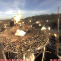 08_30-nest.jpg