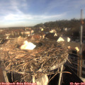 08_35-nest.jpg